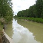 Sahagún el Real - Puente Nevilla