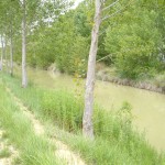Puente Nevilla - Río Retortillo Puente Nevilla - Río Retortillo