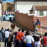 Benditos Novillos Benditos Novillos