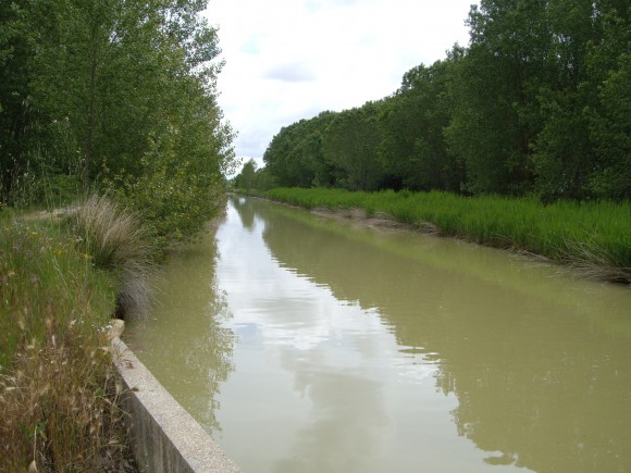 Sahagún el Real - Puente Nevilla