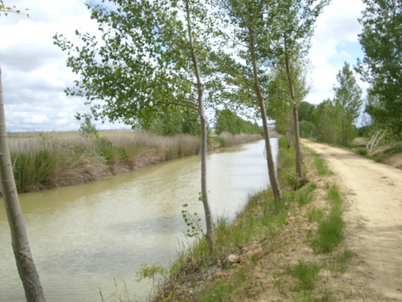Sahagún el Real - Puente Nevilla