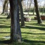 Ermita Carejas - Monte Cepuda