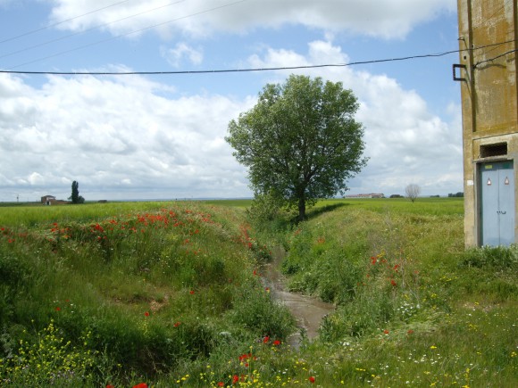 Rutas de los Palomares