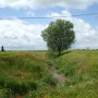 Rutas de los Palomares