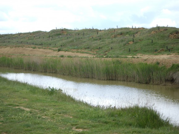 Rutas de los Palomares