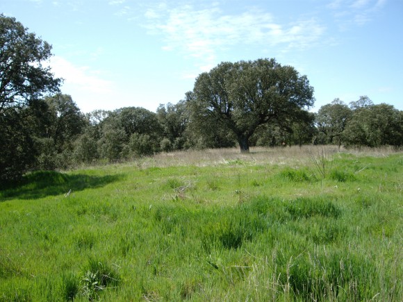 Ermita Carejas - Monte Cepuda