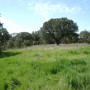 Ermita Carejas - Monte Cepuda