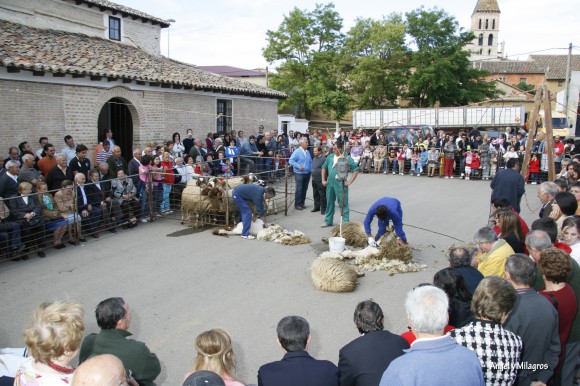 fiesta de los pastores fiesta de los pastores