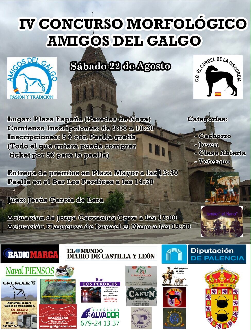 IV Memorial Fernando Cachorro y IV Concurso Morfológico Amigos del Galgo