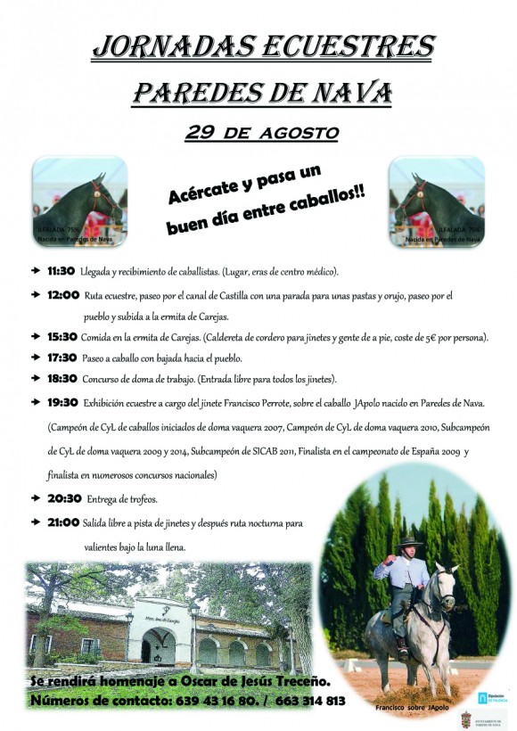 FERIA DEL CABALLO 2015