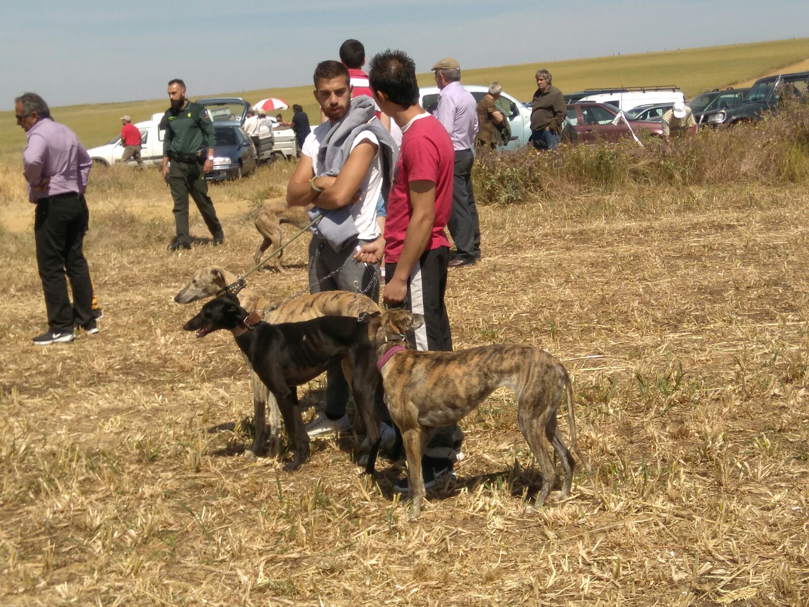 Carrera Infantil de liebre mecánica