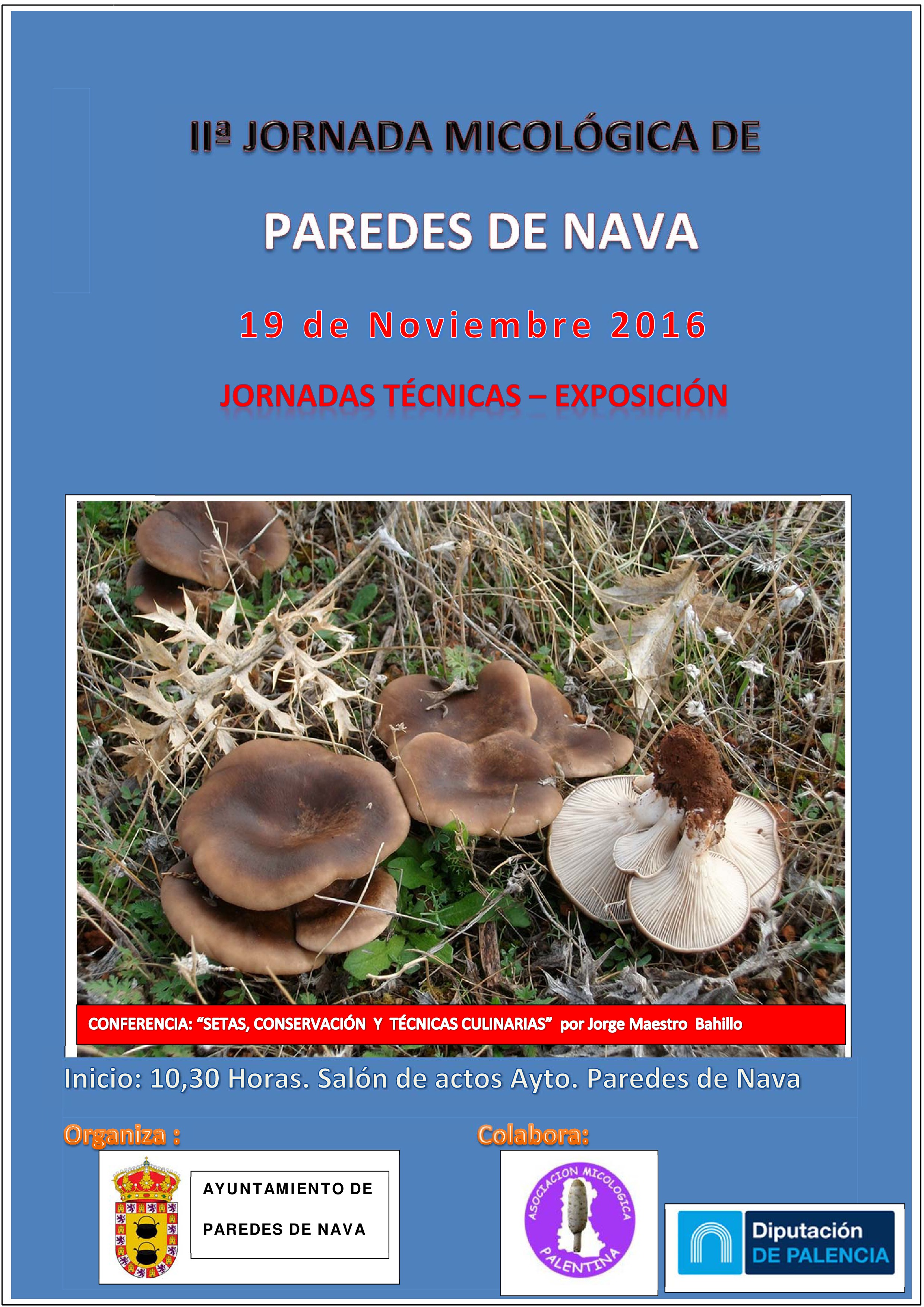 II Jornada Micológica